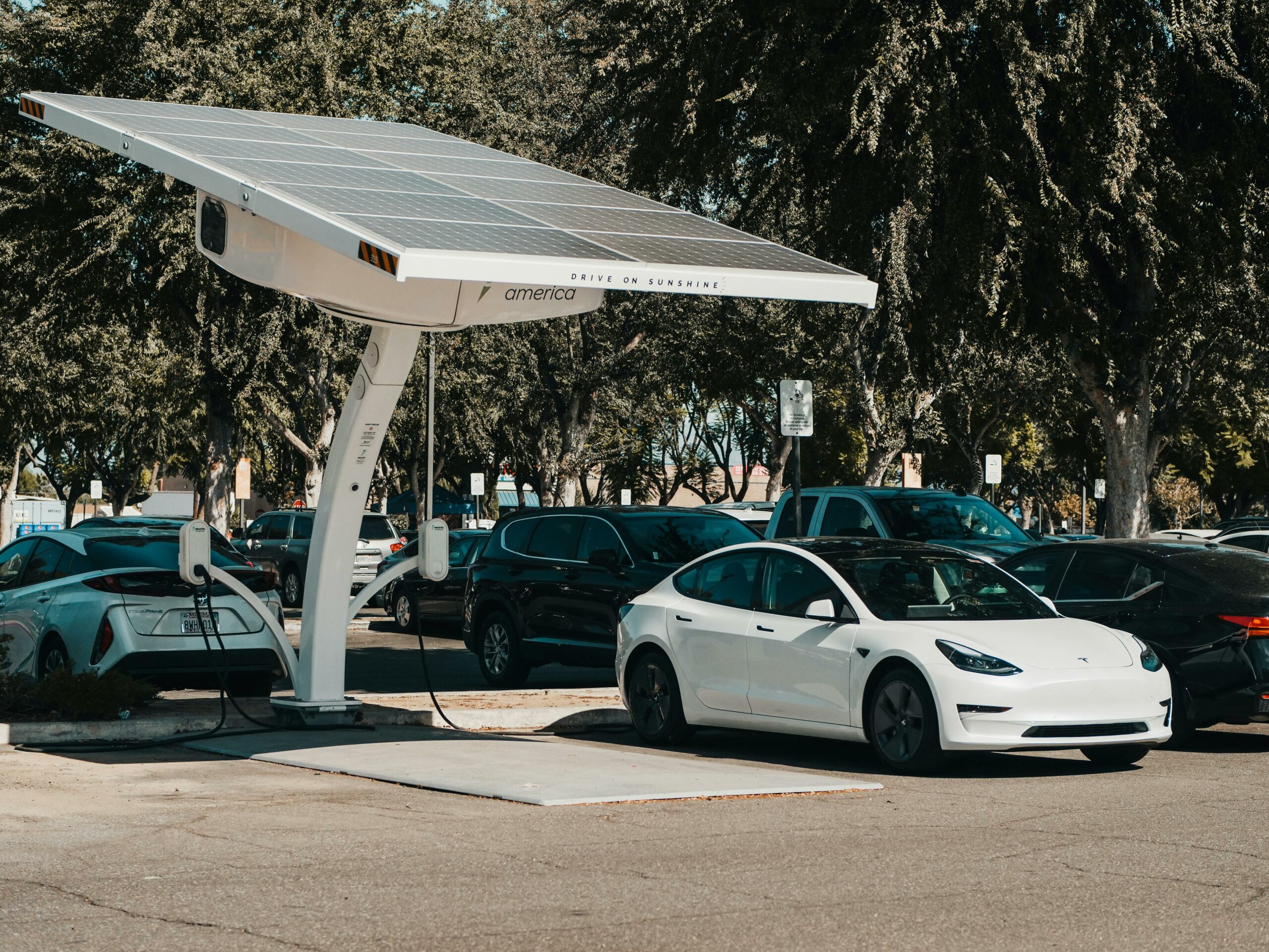 Fordele ved leasing af elbil i overgangen til grøn energi